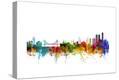 Stretched Canvas Print