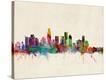 Stretched Canvas Print