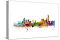 Stretched Canvas Print