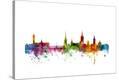 Stretched Canvas Print