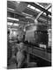 Premium Photographic Print