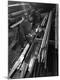 Premium Photographic Print