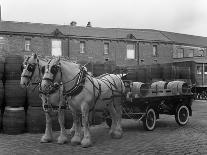 Tetley Shire Horses and Dray, Joshua Tetley Brewery, Leeds, West Yorkshire, 1966-Michael Walters-Photographic Print