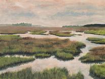 Evening Estuary II-Michael Willett-Art Print