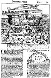 Page from the Book the Nuremberg Chronicle, 1493-Michael Wolgemut-Giclee Print