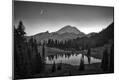 Photographic Print