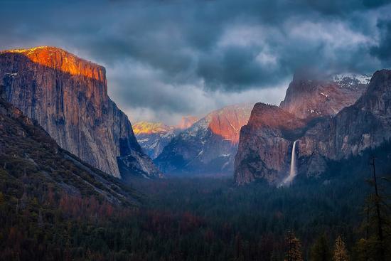 Photographic Print, , large