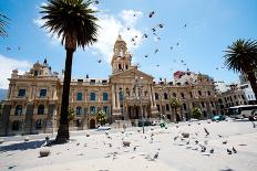 Pigeons Flying over City Hall of Cape Town, South Africa-michaeljung-Framed Photographic Print
