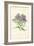 Michaelmas Daisy-Frederick Edward Hulme-Framed Giclee Print