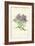 Michaelmas Daisy-Frederick Edward Hulme-Framed Giclee Print