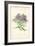 Michaelmas Daisy-Frederick Edward Hulme-Framed Giclee Print