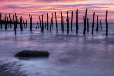 Delaware Bay Sunrise-michaelmill-Premier Image Canvas