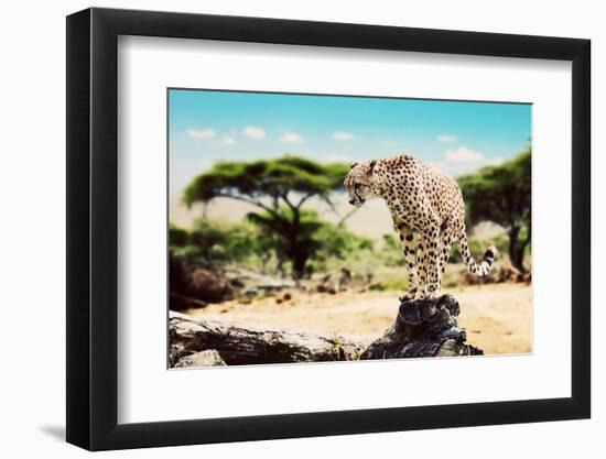 Photographic Print, , large