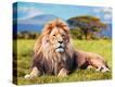 Stretched Canvas Print