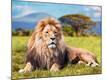 Premium Photographic Print