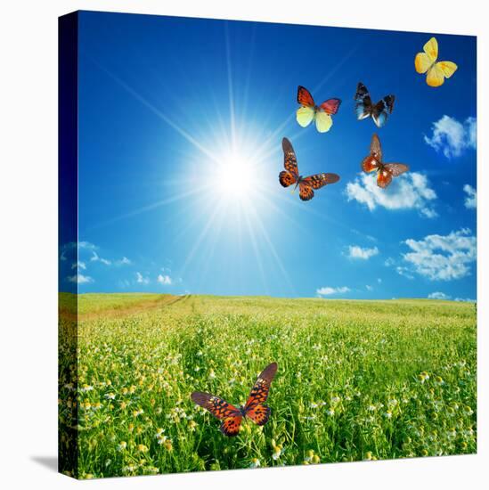 Stretched Canvas Print, , large