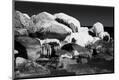 Photographic Print