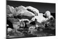 Photographic Print