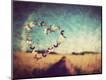 Photographic Print