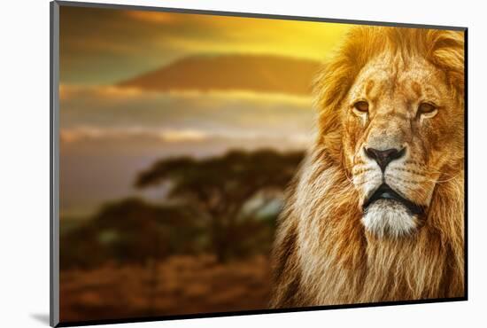 Photographic Print, , large