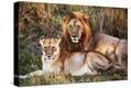 Stretched Canvas Print