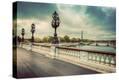 Stretched Canvas Print