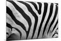 Premium Photographic Print