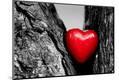 Premium Photographic Print