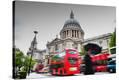 Stretched Canvas Print