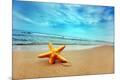 Premium Photographic Print