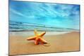 Photographic Print