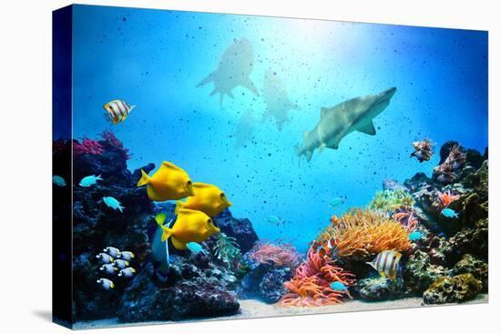 Stretched Canvas Print, , large