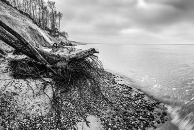 Black and white feathers background. Photograph by Michal Bednarek - Fine  Art America