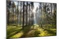 Premium Photographic Print