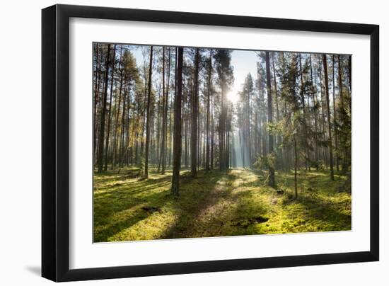 Photographic Print, , large