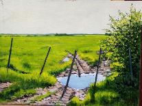 Puddle on the Path-Michel Bultet-Giclee Print