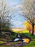 Puddle on the Path-Michel Bultet-Giclee Print