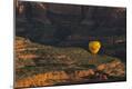 Photographic Print