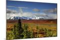 Premium Photographic Print