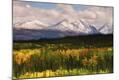 Photographic Print