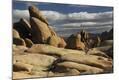 Photographic Print