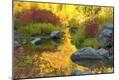 Photographic Print