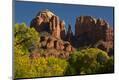 Photographic Print