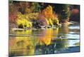 Photographic Print
