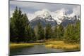 Photographic Print
