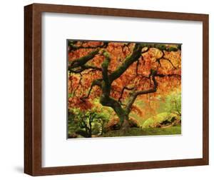 Beautiful Autumn Framed Posters Artwork For Sale Posters