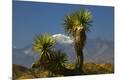 Premium Photographic Print