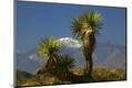 Premium Photographic Print