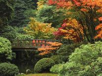 Spring, Portland Japanese Garden, Portland, Oregon, USA-Michel Hersen-Photographic Print