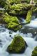 Premium Photographic Print